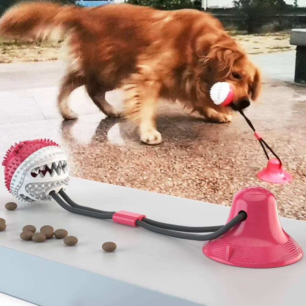 Chew toy