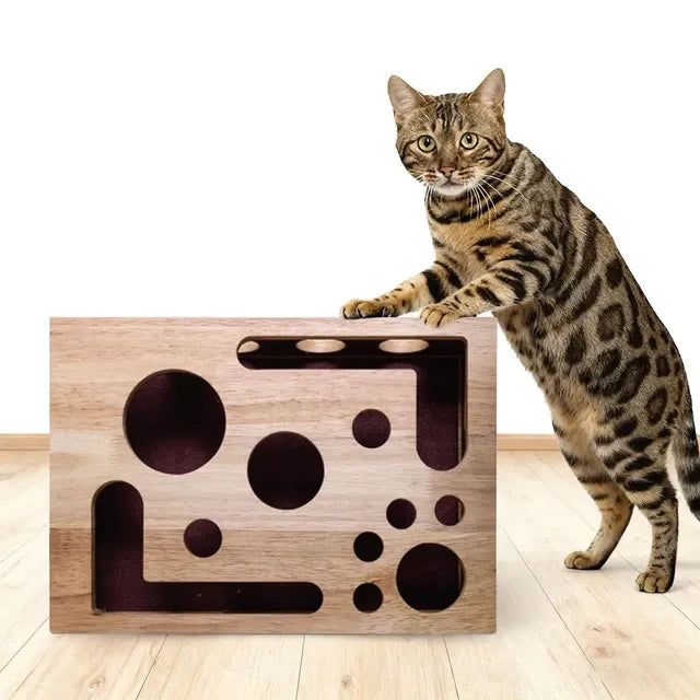 Boîte multifonction