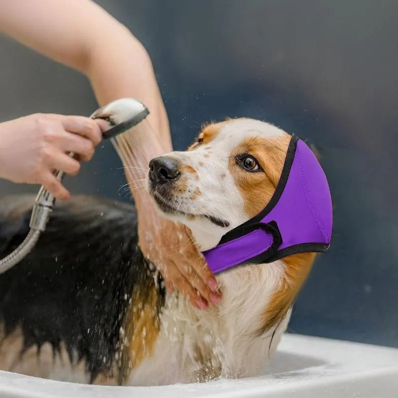 Cache-oreilles pour chien