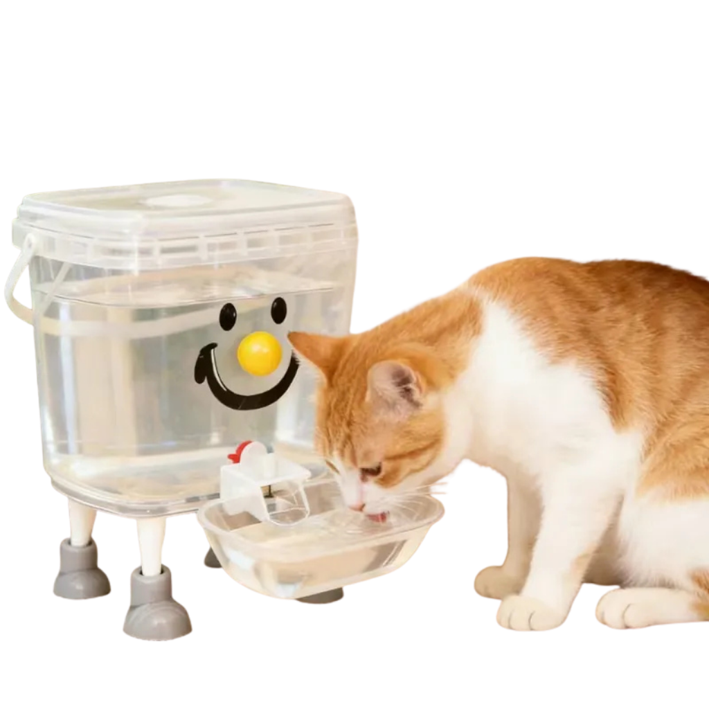 Water dispenser
