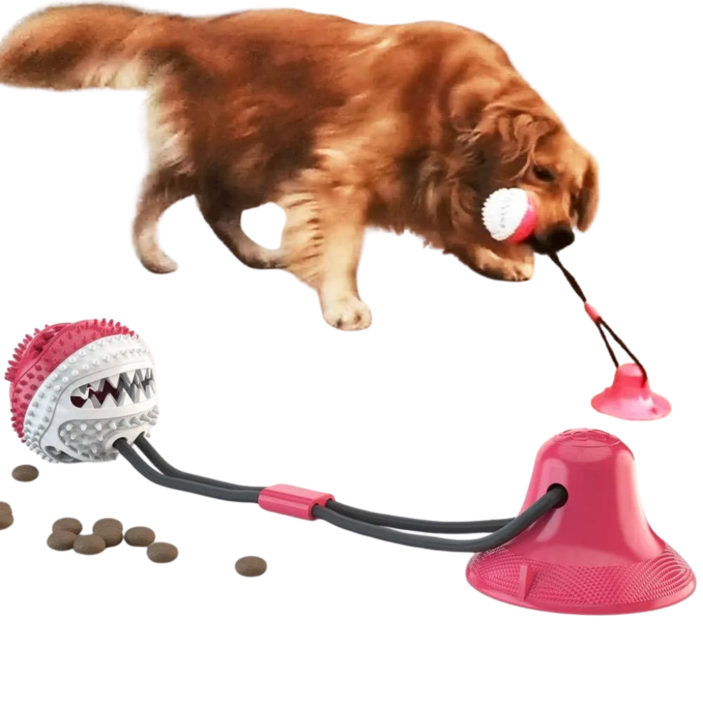 Chew toy