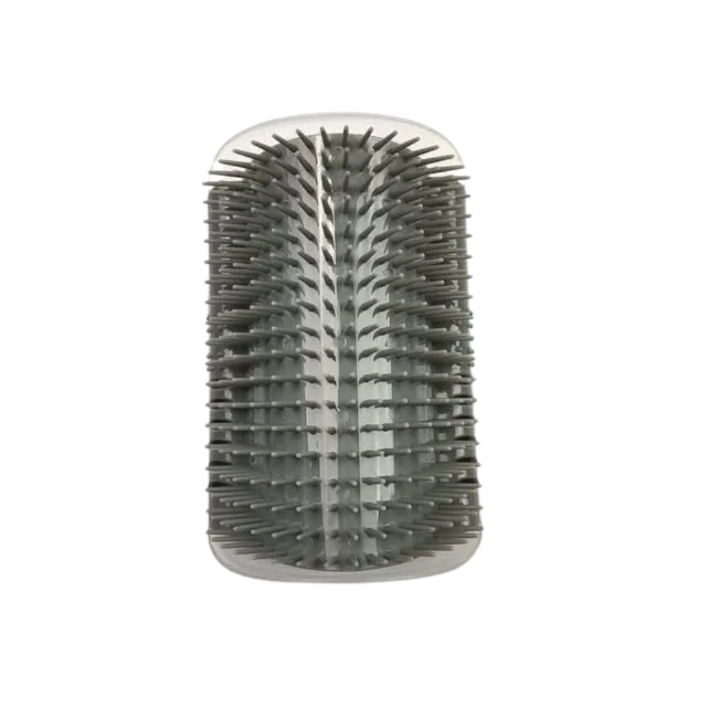 Massage brush