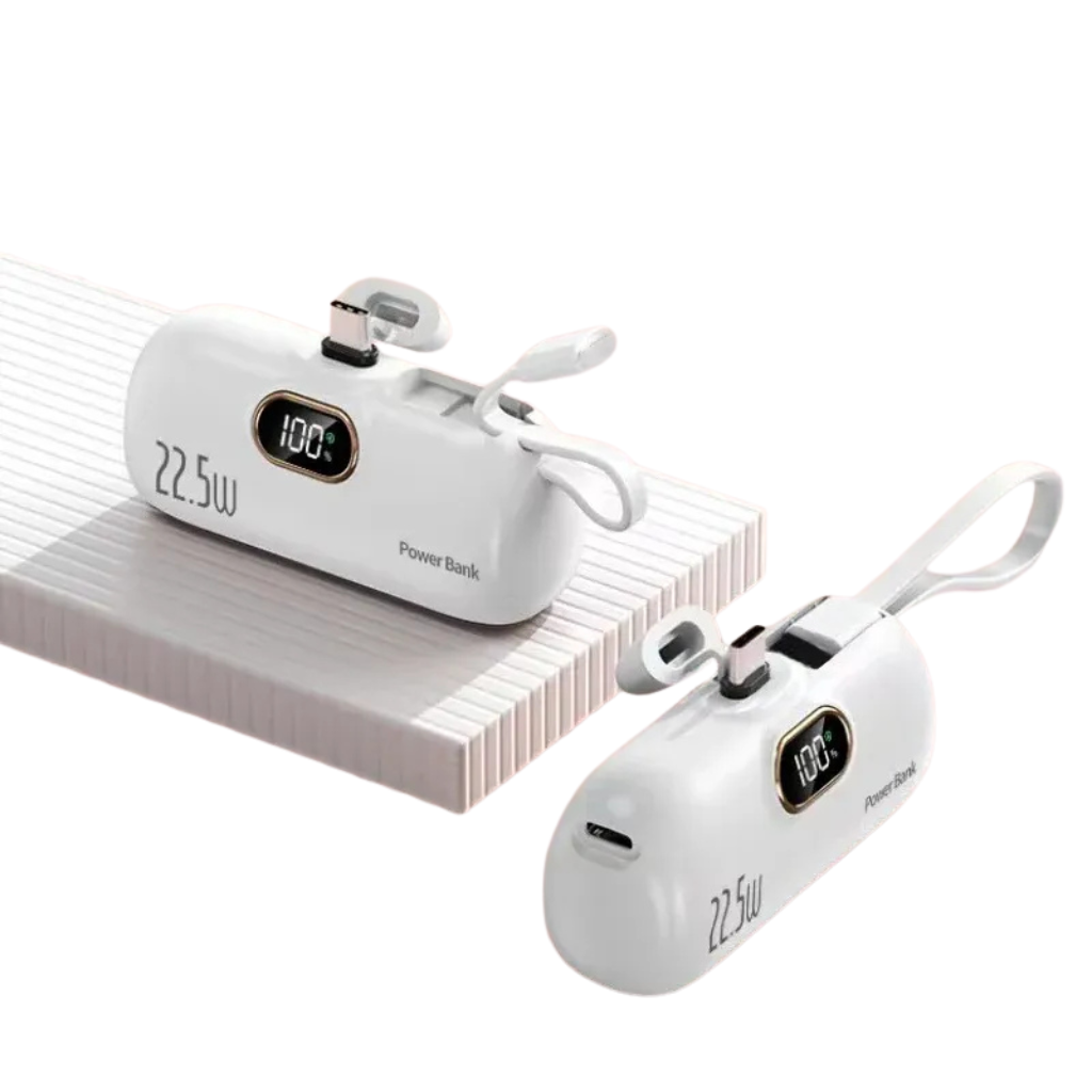 Portable charger