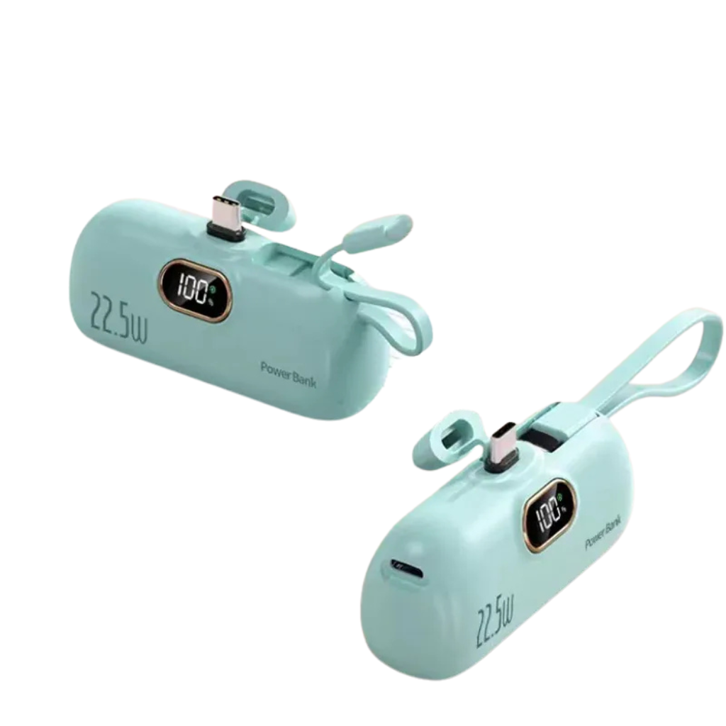 Portable charger