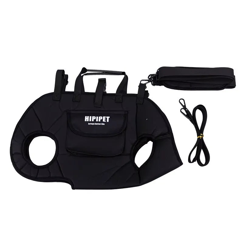 Assistance harness