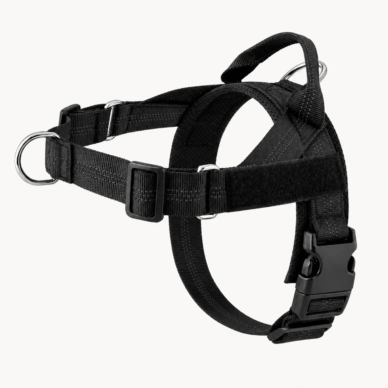 Training Harness