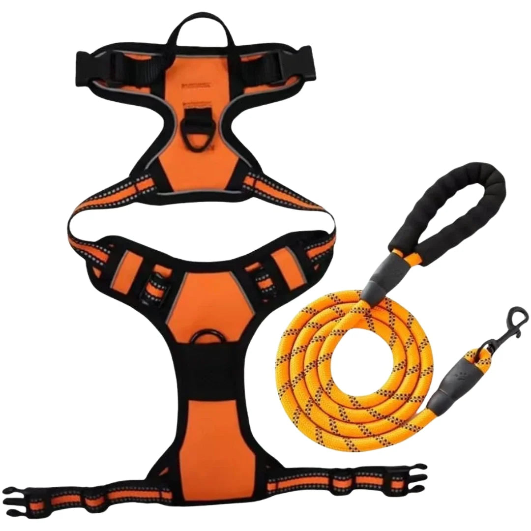 Harnais pour chiens