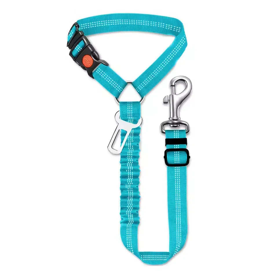 Car leash