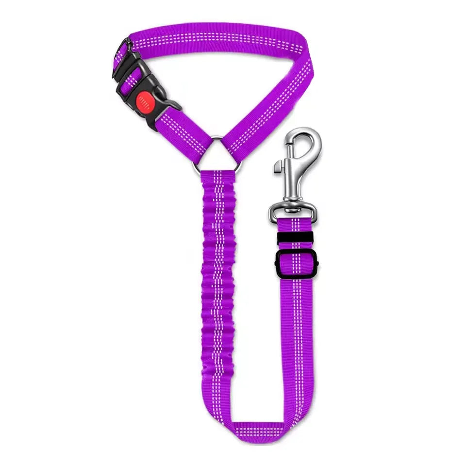 Car leash