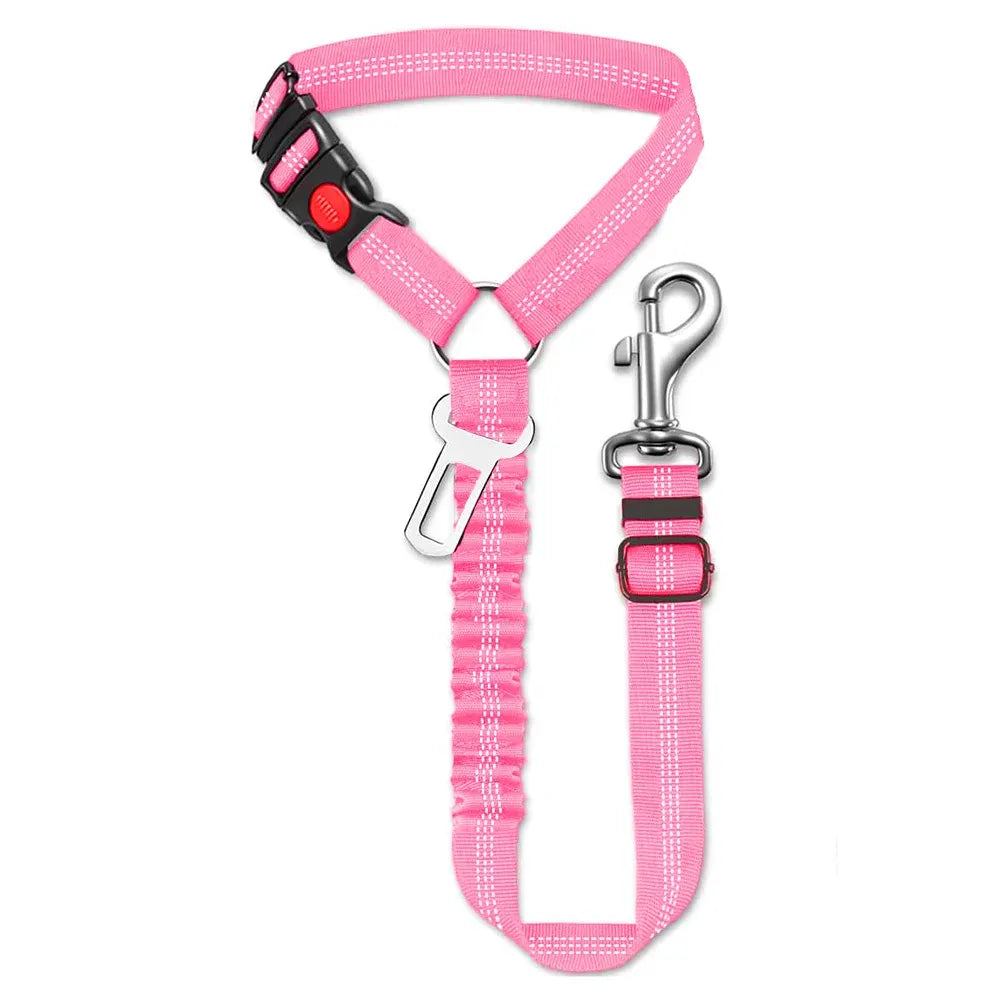 Car leash