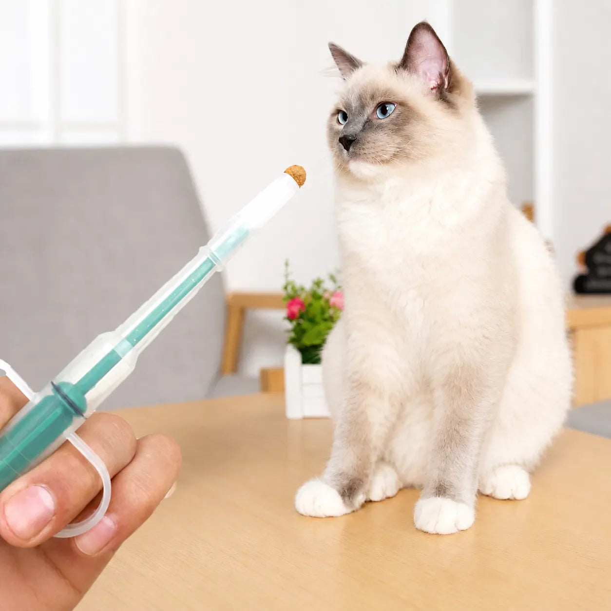 Veterinary syringe