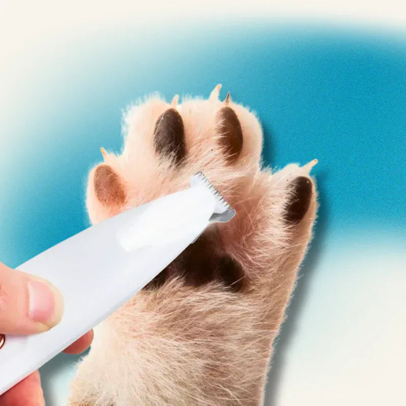 Tondeuse pour animaux