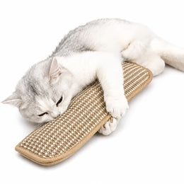 Coussin à griffer