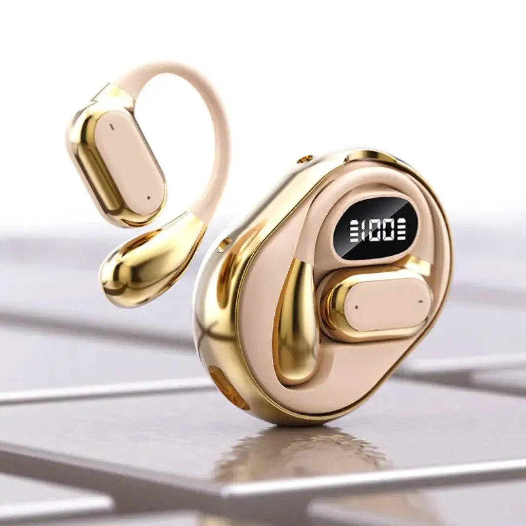 Écouteurs traducteurs