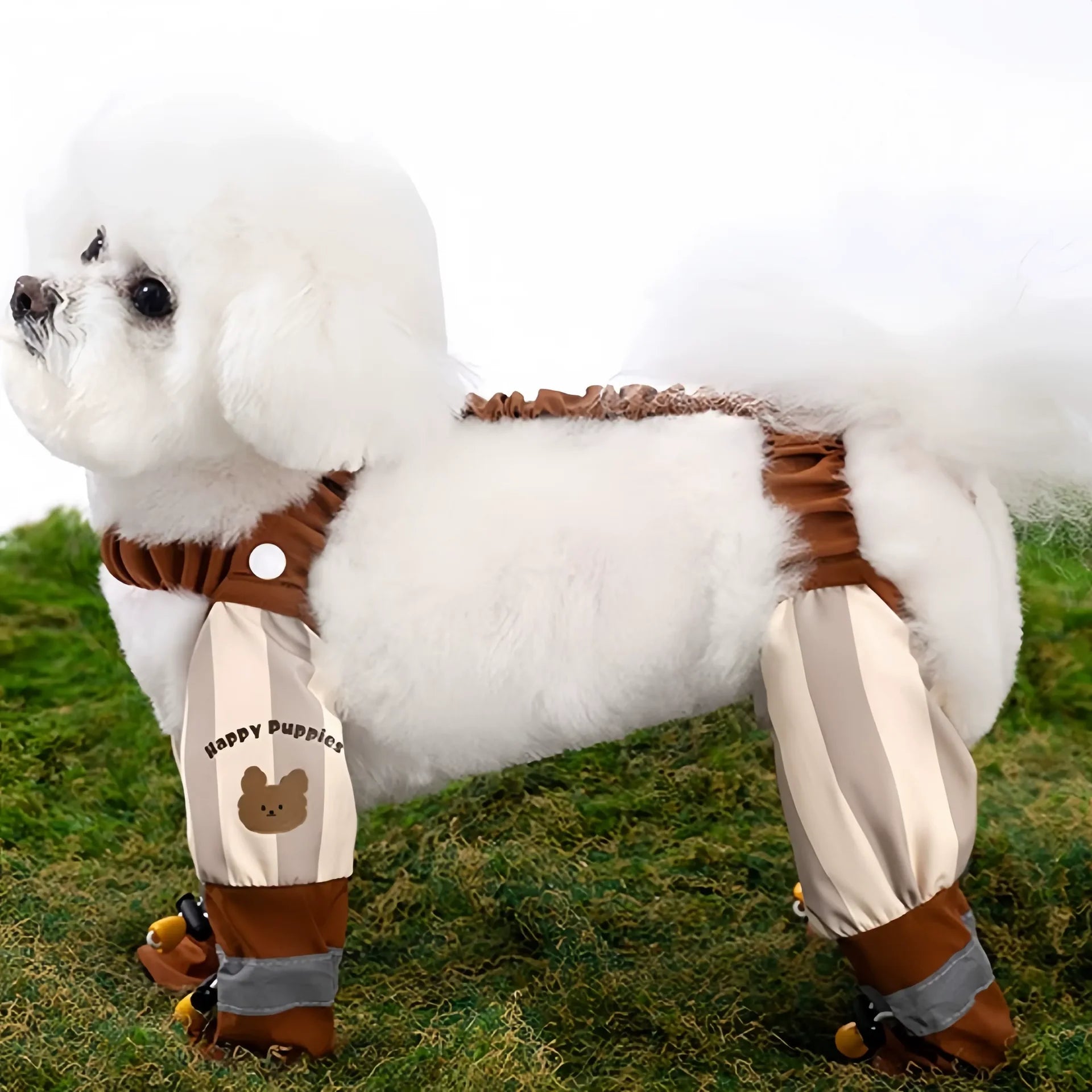 Ensemble pour chien