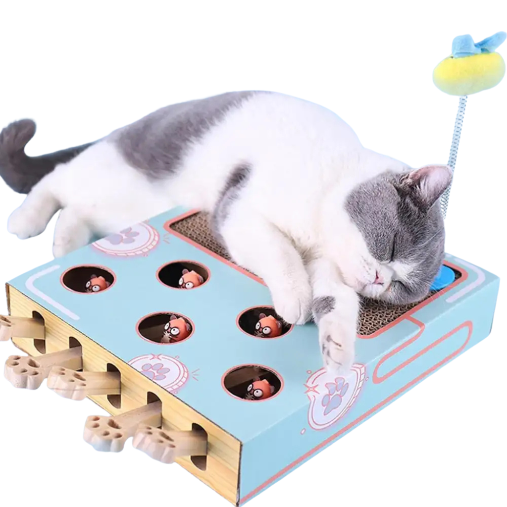 Interactive cat toy
