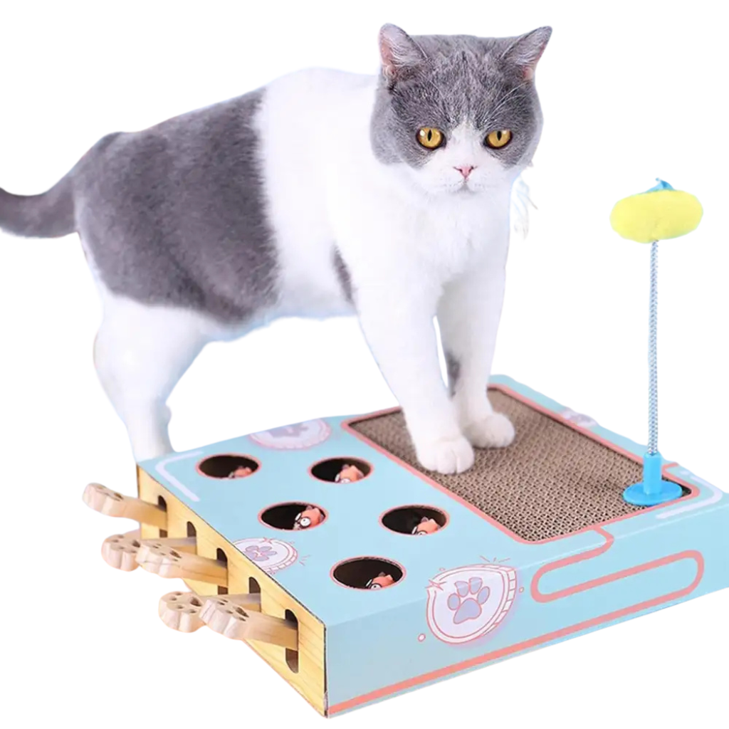 Interactive cat toy