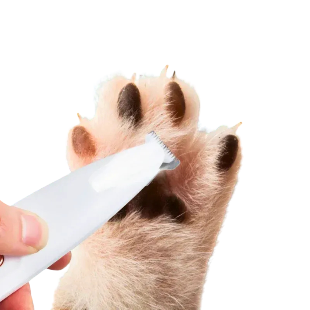 Tondeuse pour animaux