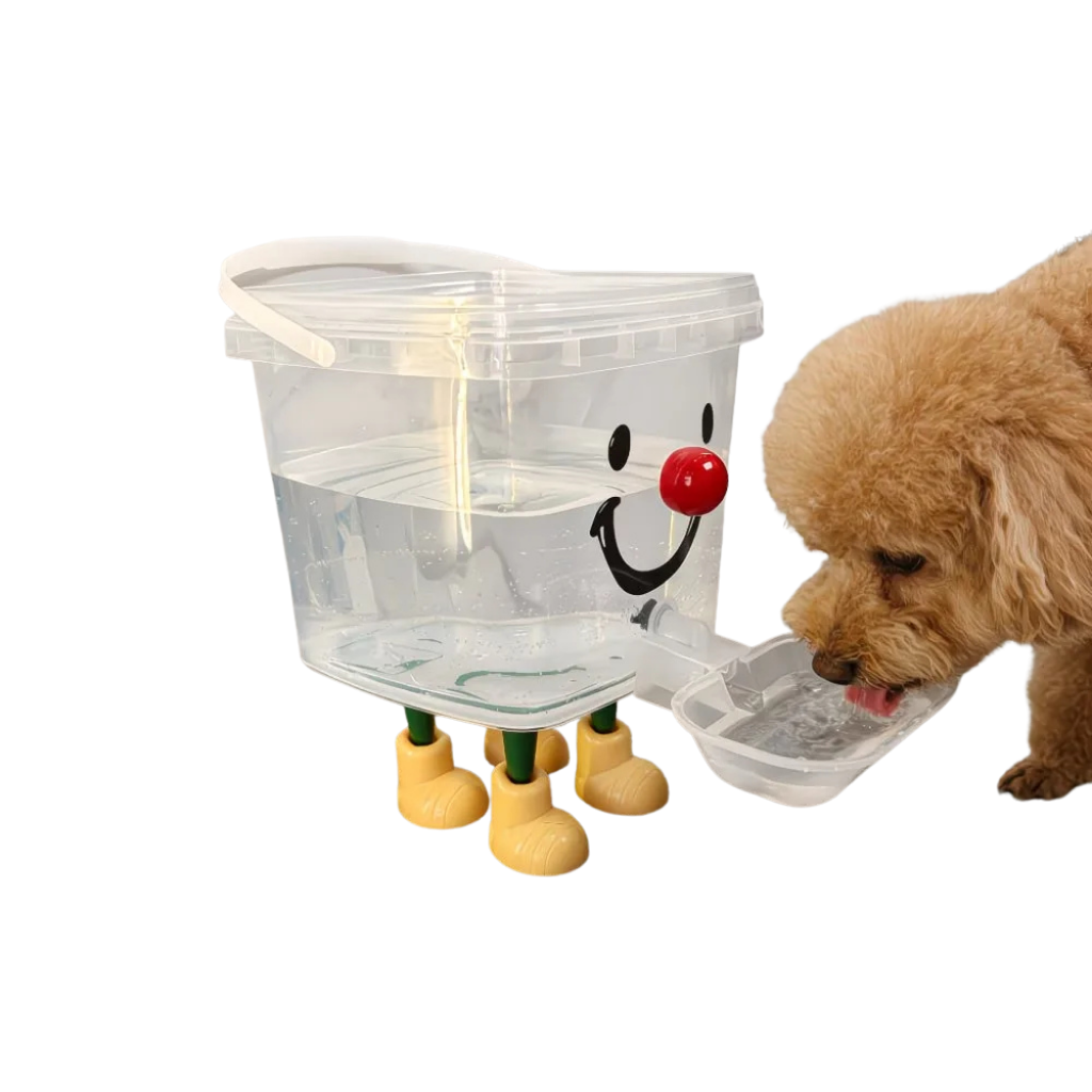 Water dispenser
