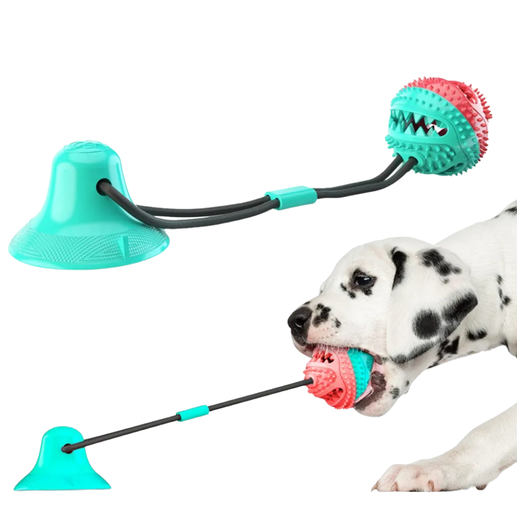 Chew toy