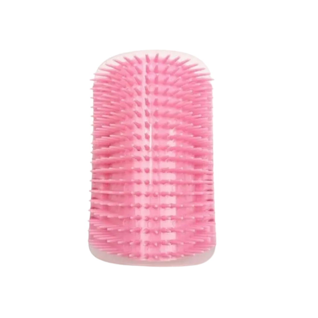 Massage brush