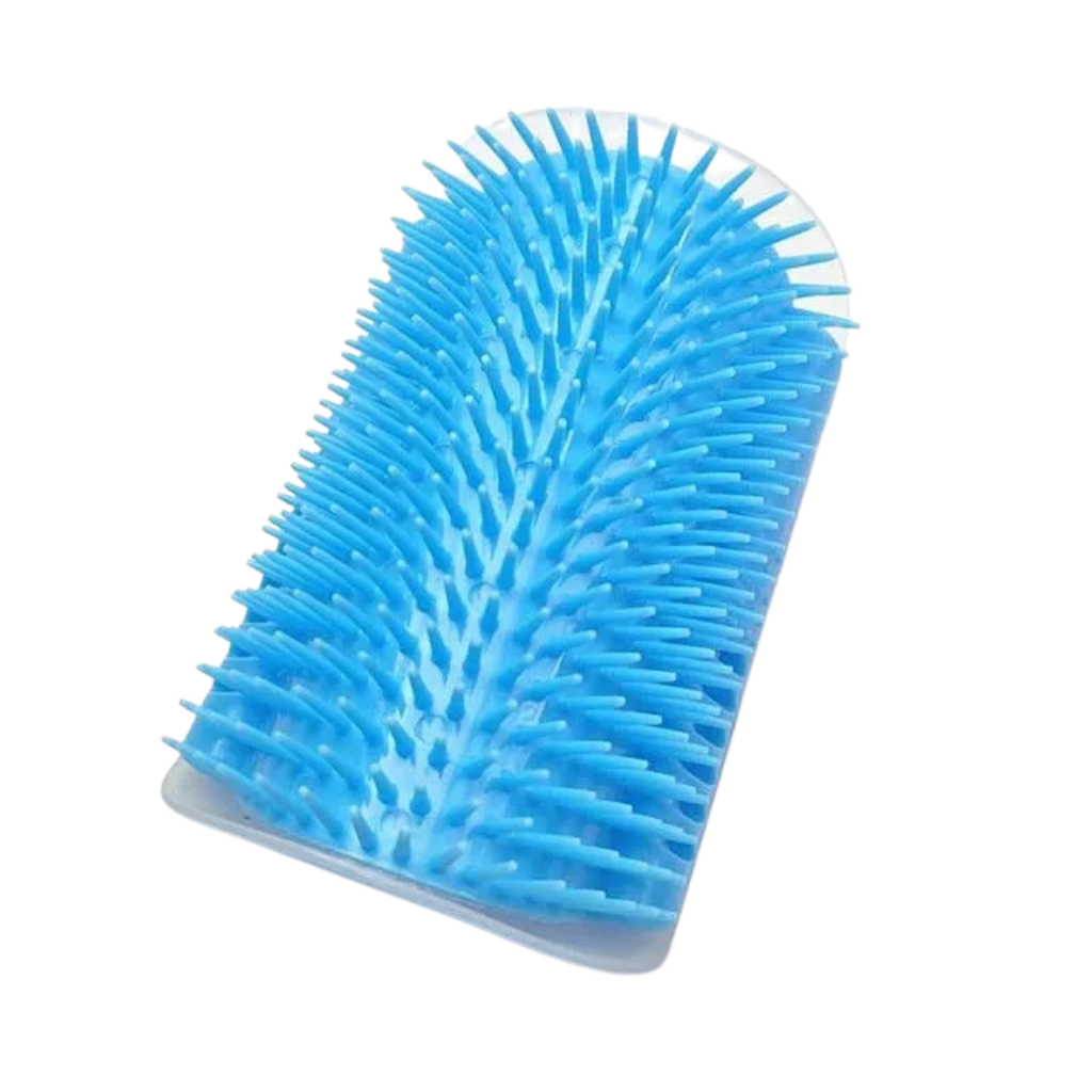 Massage brush