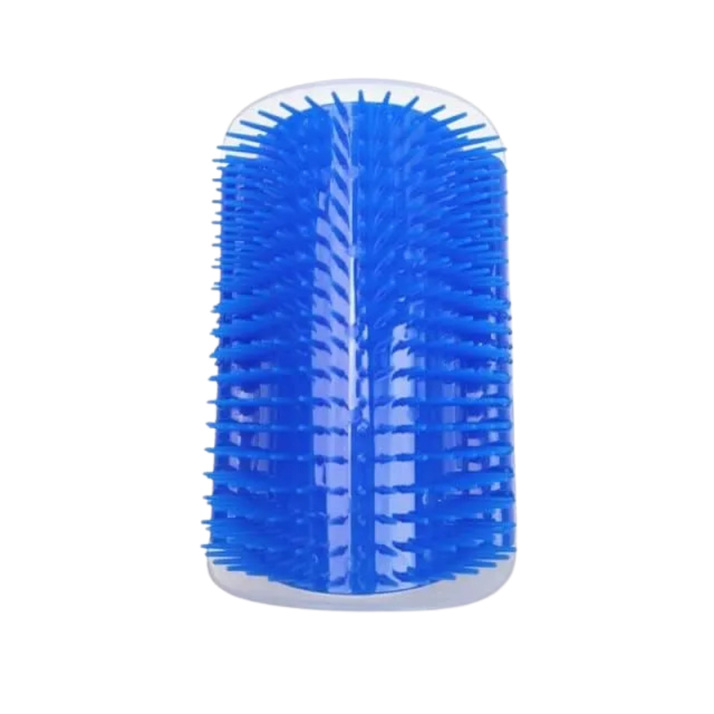 Massage brush