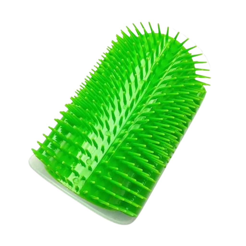 Massage brush