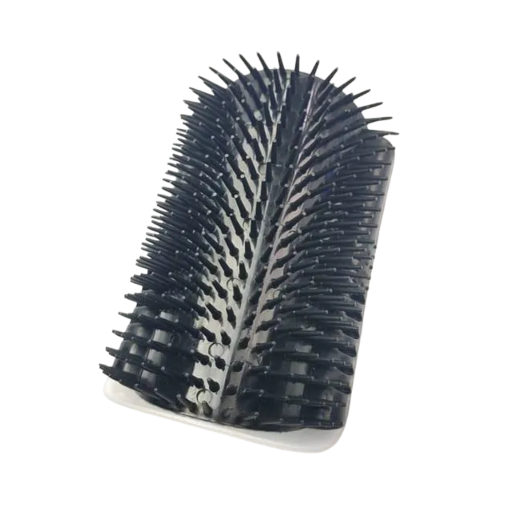 Massage brush