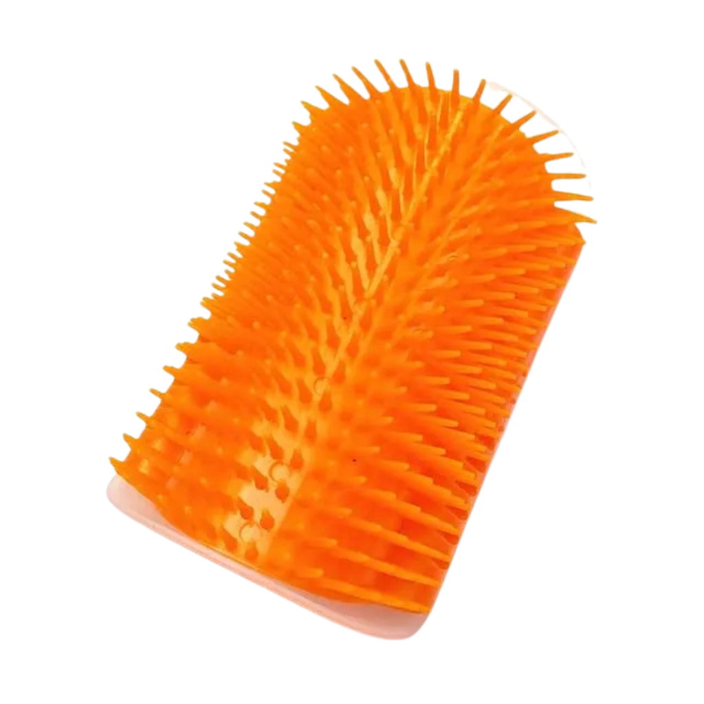 Massage brush