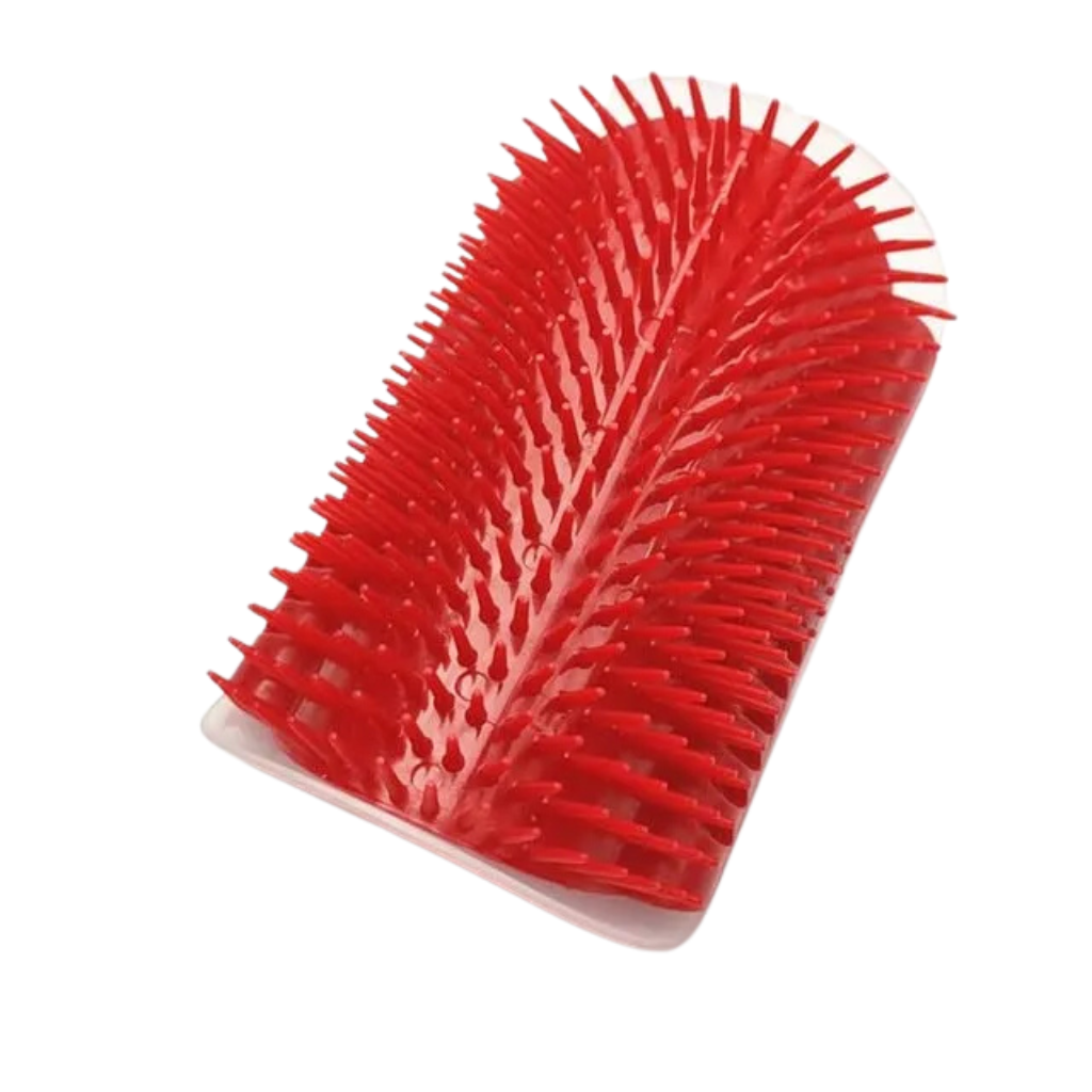 Massage brush