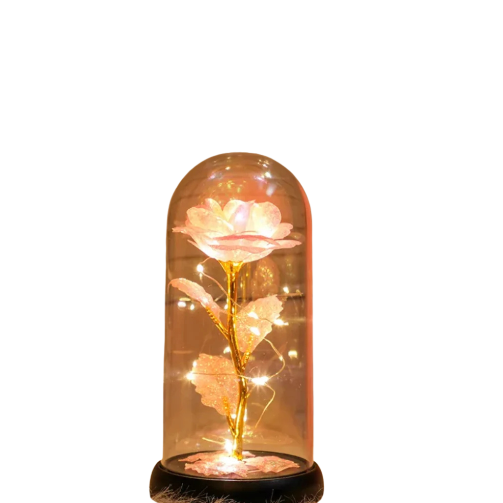 Pink éternelle LED