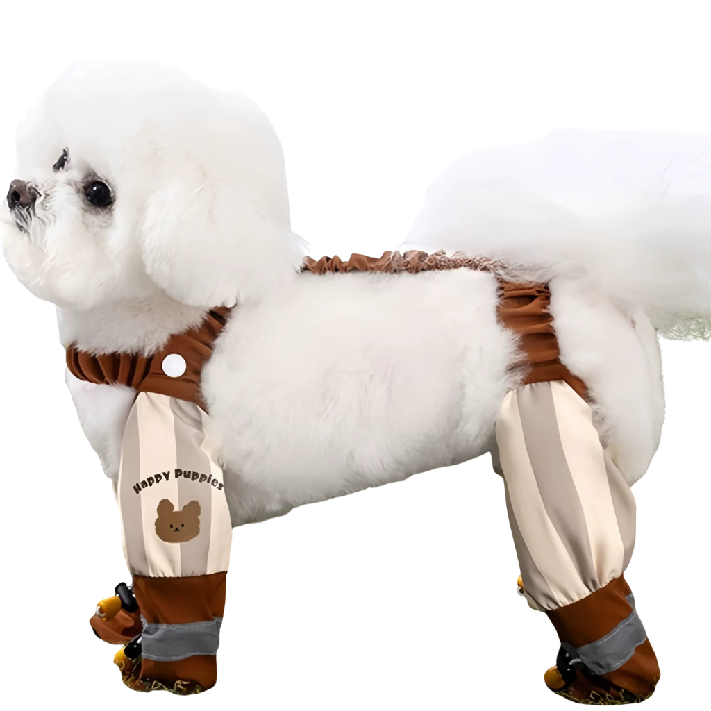 Dog outfit
