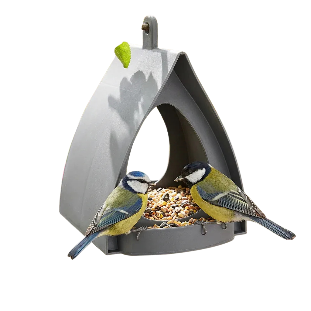 Bird feeder