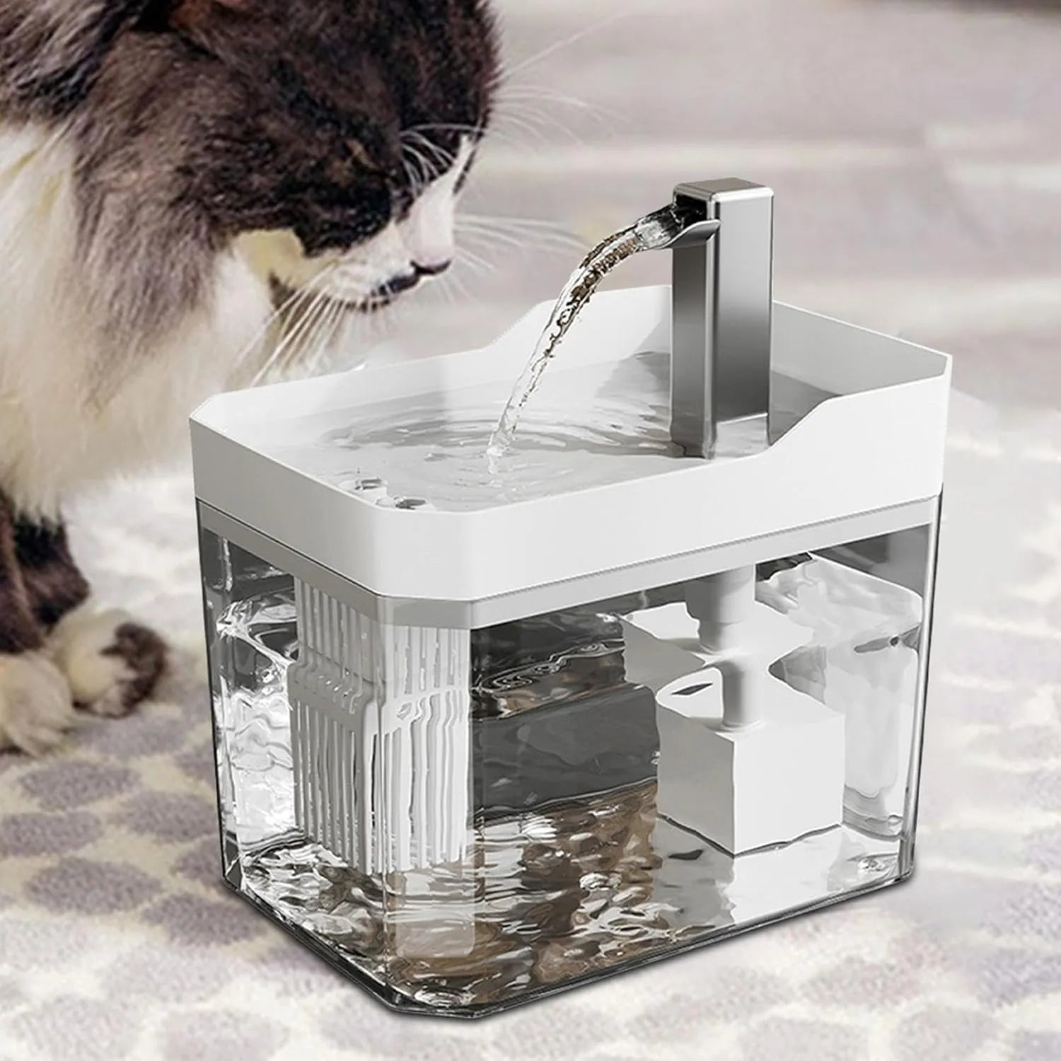 Fontaine pour chat