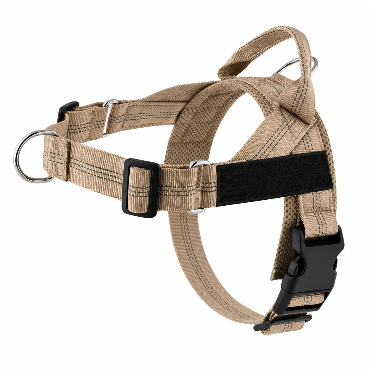 Training Harness