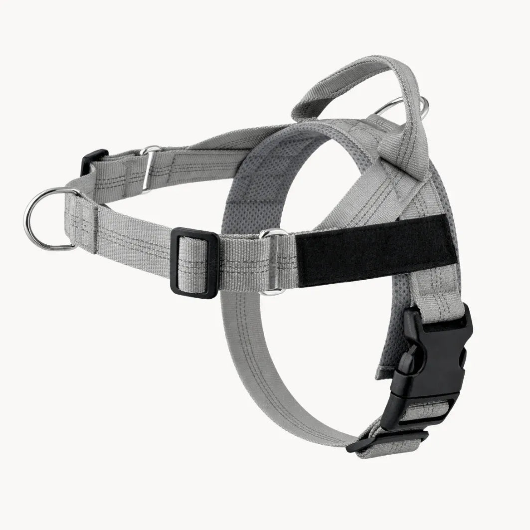 Training Harness