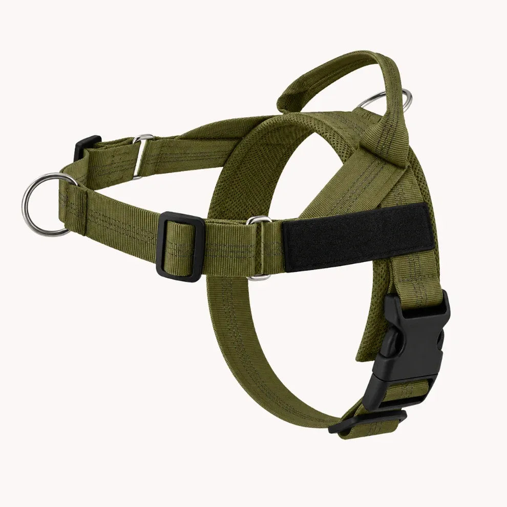 Training Harness