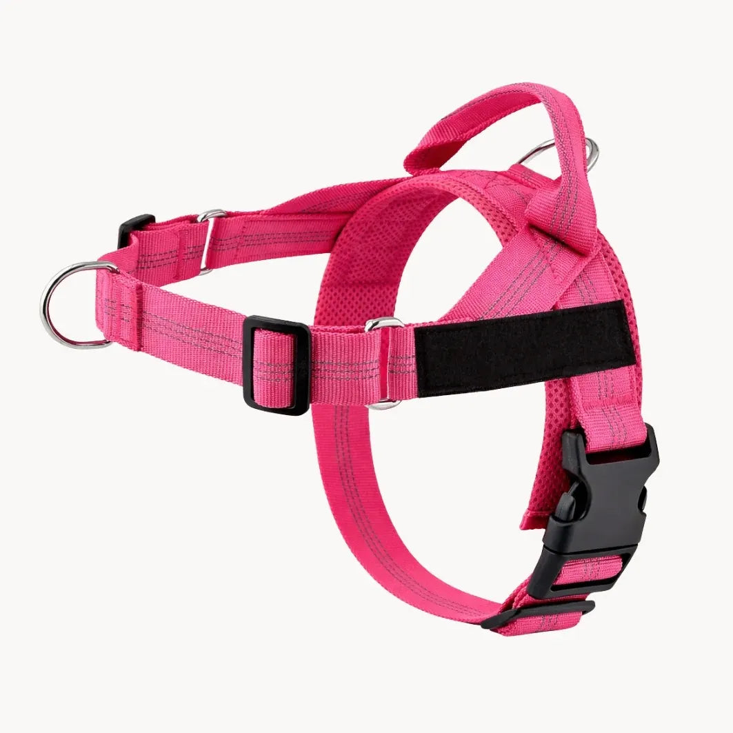 Training Harness