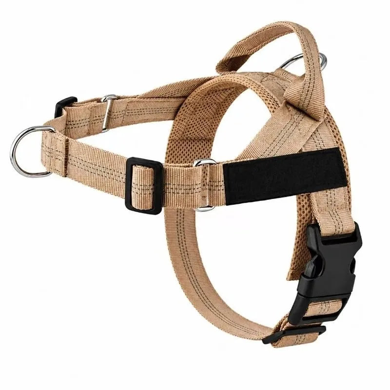 Training Harness