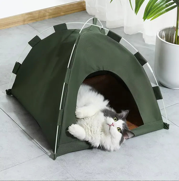 Cat tent